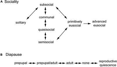 Life History and the Transitions to Eusociality in the Hymenoptera